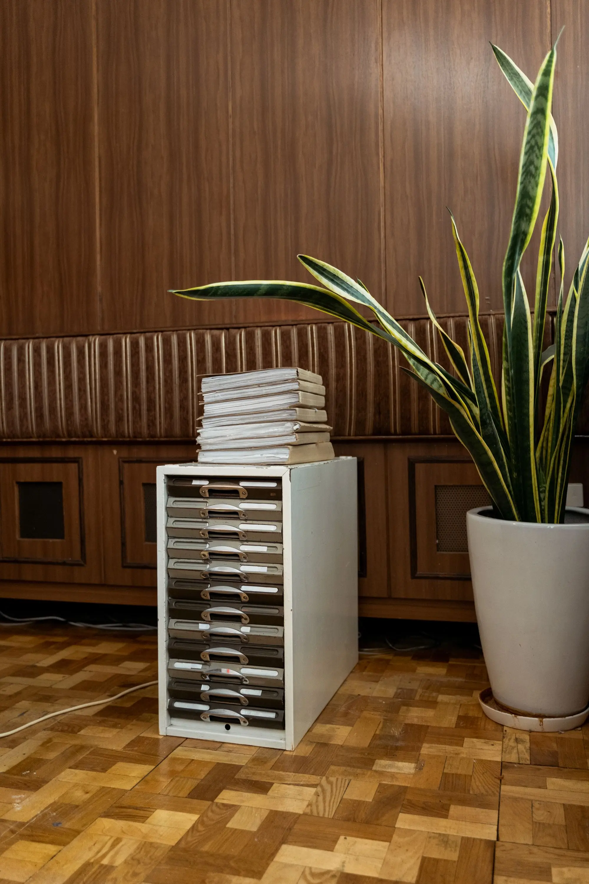 Case files stacked on a drawer unit beside a plant